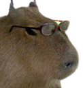 Capy Glassesq emoji