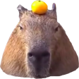 Capybara 1 emoji