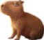 Capybara Encanto emoji maker