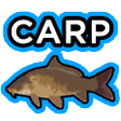 Carp emoji