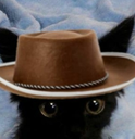 Cat Countryq emoji