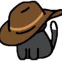 Cat Cowboyq emoji