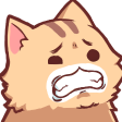 Cat Ewq emoji