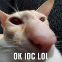 Cat Idcq emoji