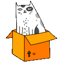 Cat In A Box emoji