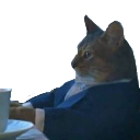 Cat Ishouldbuyaboat emoji