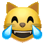 Cat Joy Crazy emoji