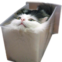 Catbinq emoji