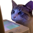 Catcomputerq emoji