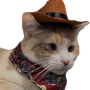 Catcowboyq emoji