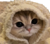 Catcozyq emoji