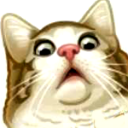 Catgasp emoji