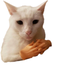 Cathandsq emoji