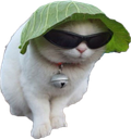 Catlettuceq emoji