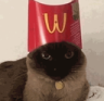 Catmcdonalds 1 emoji