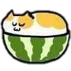 Catmelon0 emoji