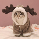 Catmooseq emoji