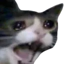 Click to make emojis with: A cat screaming