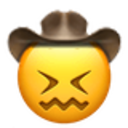 Confounded Cowboy emoji