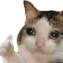 Click to make emojis with: A cat crying and giving a thumbs up