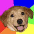 The generated rainbow-dog animated emoji