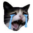 The generated cry animated emoji