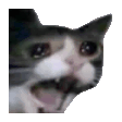 The generated crying-cat-crying animated emoji