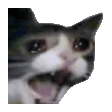 The generated crying-cat-screaming animated emoji
