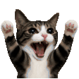 The generated hype animated emoji