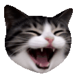 The generated laugh animated emoji