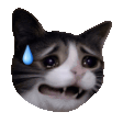 The generated oops animated emoji
