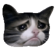 The generated pout animated emoji