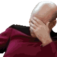 The generated picard-facepalm animated emoji