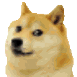 The generated doge animated emoji