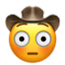 Flushed Cowboy emoji