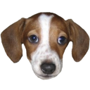 FrankerZ emoji maker