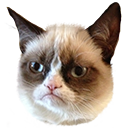 Grumpy Cat emoji