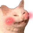 Kitty Blush emoji