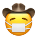 Mask Cowboy emoji
