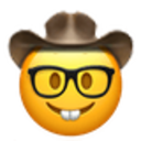 Nerdy Cowboy emoji