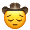 Pensive Cowboy emoji