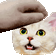 The generated pet animated emoji