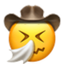 Sneezing Cowboy emoji
